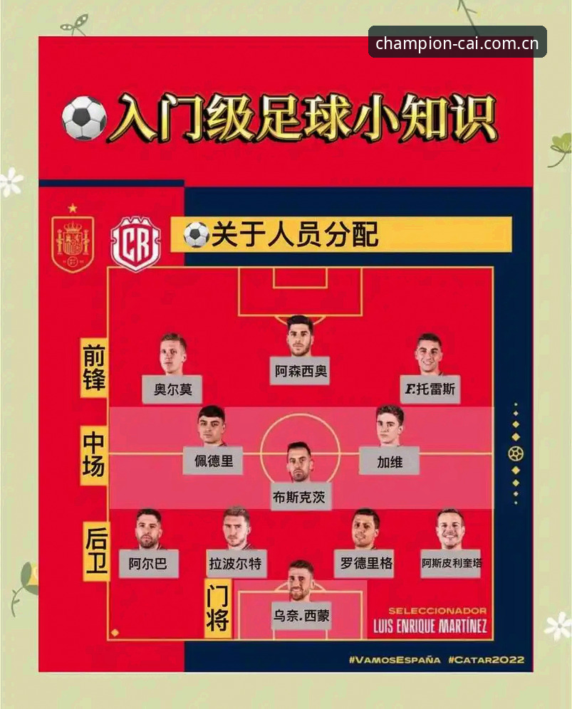 中国足协第三批禁足名单深度解读：冠军白菜会员带你了解赛事纪律操作教程