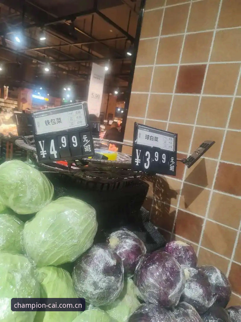 揭秘冠军白菜下载难题：安装失败背后的真相与解决方案